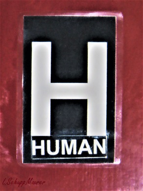 Bild nicht verfügbar