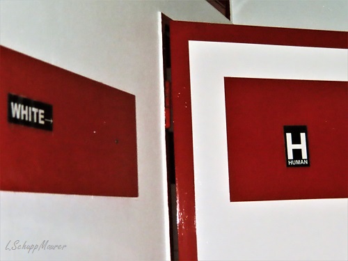 Bild nicht verfügbar