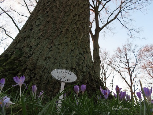 Bild nicht verfügbar