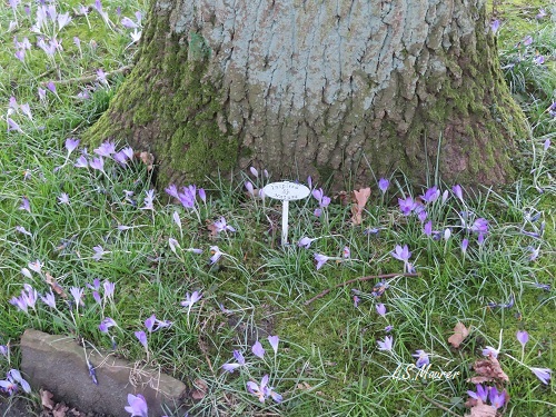 Bild nicht verfügbar