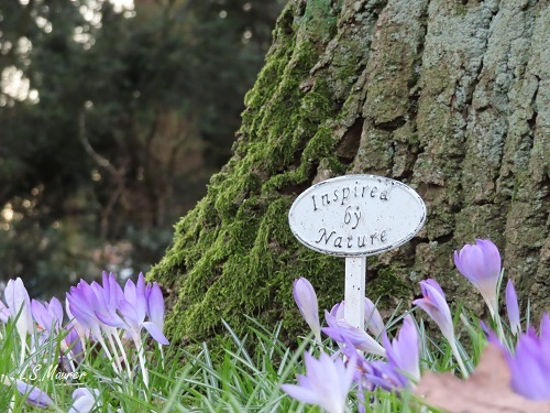 Bild nicht verfügbar