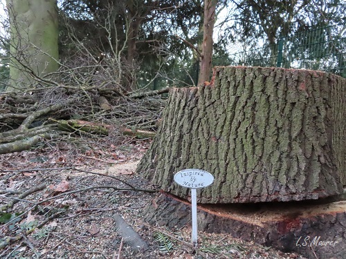 Bild nicht verfügbar