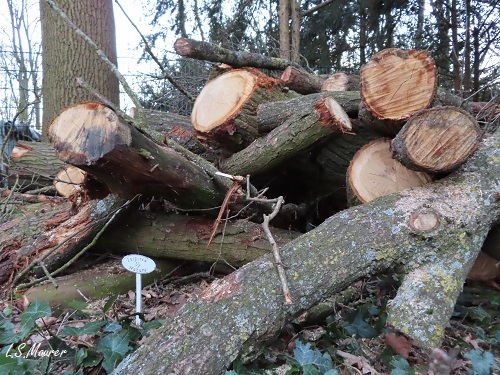 Bild nicht verfügbar