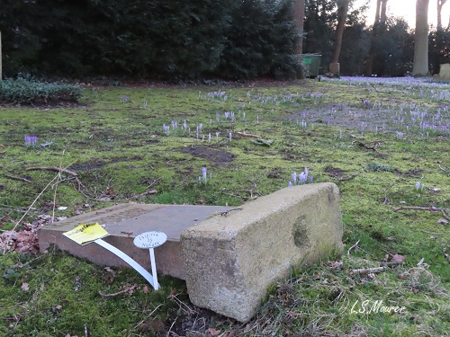 Bild nicht verfügbar