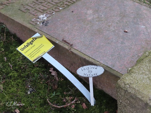 Bild nicht verfügbar