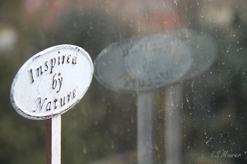 Bild nicht verfügbar