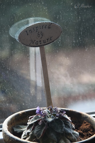 Bild nicht verfügbar