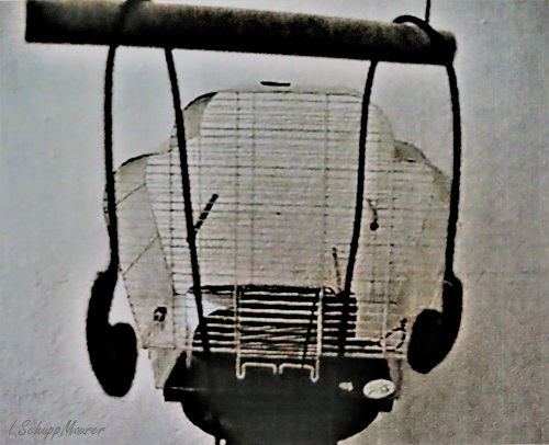 Bild nicht verfügbar