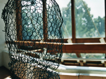 Bild nicht verfügbar