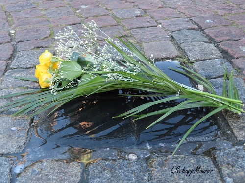 Foto nicht verfügbar