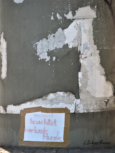 Foto nicht verfügbar