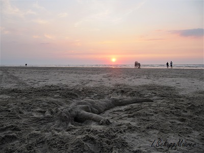 Bild nicht verfügbar