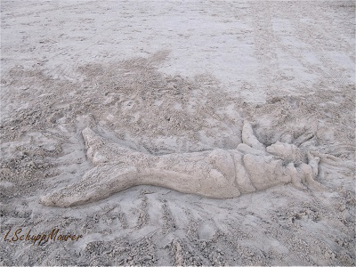 Foto nicht verfügbar