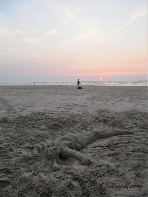 Foto nicht verfügbar