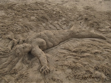 Foto nicht verfügbar