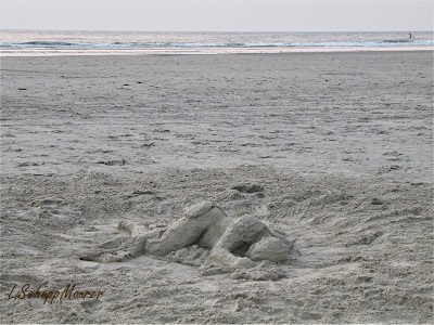 Foto nicht verfügbar