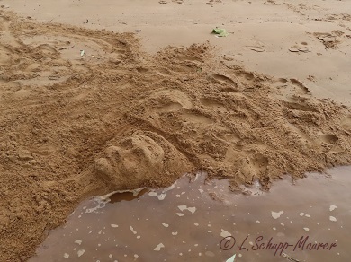 Foto nicht verfügbar