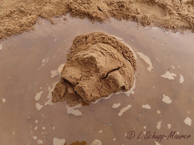 Foto nicht verfügbar