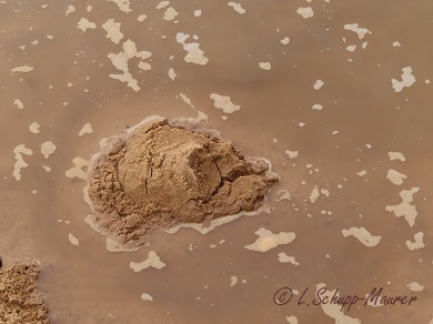 Foto nicht verfügbar