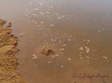 Foto nicht verfügbar