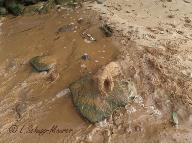 Bild nicht verfügbar