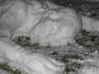 Hier soll ein Foto der Arbeit erscheinen.