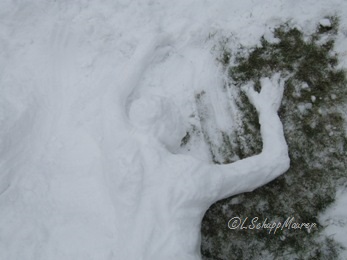 Bild nicht verfügbar