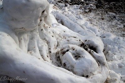 Hier soll ein Foto der Arbeit erscheinen.