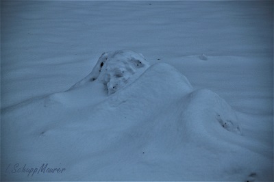 Hier soll ein Foto der Arbeit erscheinen.
