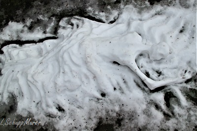 Hier soll ein Foto der Arbeit erscheinen.