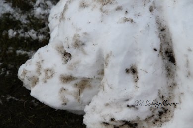 Hier soll ein Foto der Arbeit erscheinen.