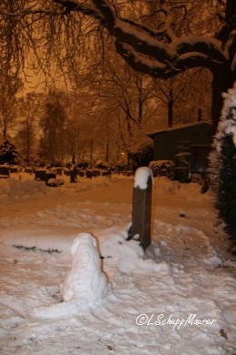 Bild nicht verfügbar