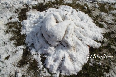 Hier soll ein Foto der Arbeit erscheinen.