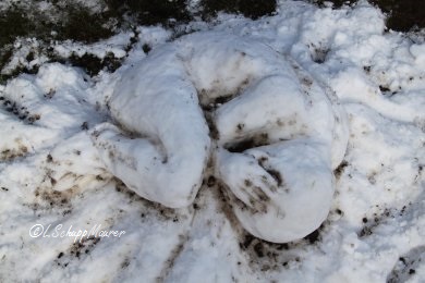 Hier soll ein Foto der Arbeit erscheinen.