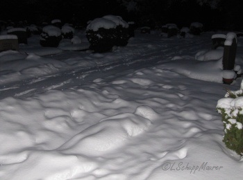 Hier soll ein Foto der Arbeit erscheinen.
