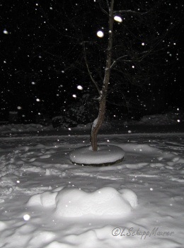 Hier soll ein Foto der Arbeit erscheinen.