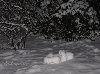 Hier soll ein Foto der Arbeit erscheinen.